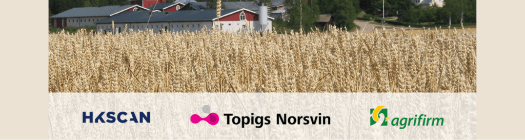 Οι εταιρείες HKScan, Topigs Norsvin και o όμιλος Royal Agrifirm Group ξεκινούν συνεργασία με το χοιροστάσιο Yli-Simola στη Φινλανδία